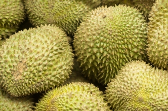 Durian fruit .. a delicacy to some, revolting to others!